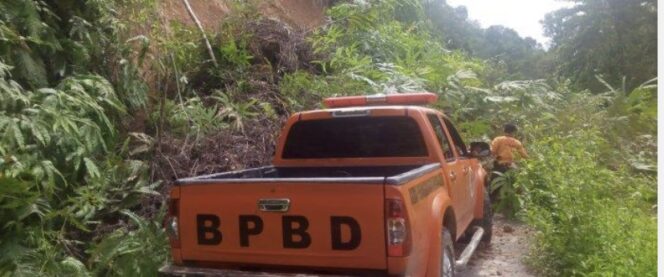 
 Petugas BPBD Kabupaten Lebong saat memantau jalan yang longsor di Lebong. (Doc:My)