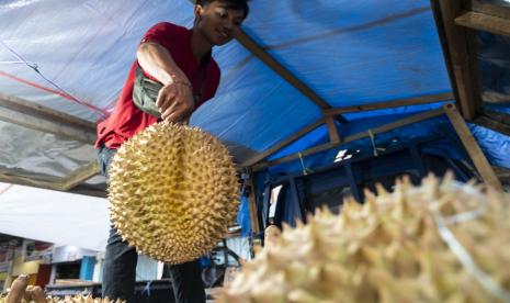 
 Festival Durian DiBengkulu Tengah. (Doc:Nc)